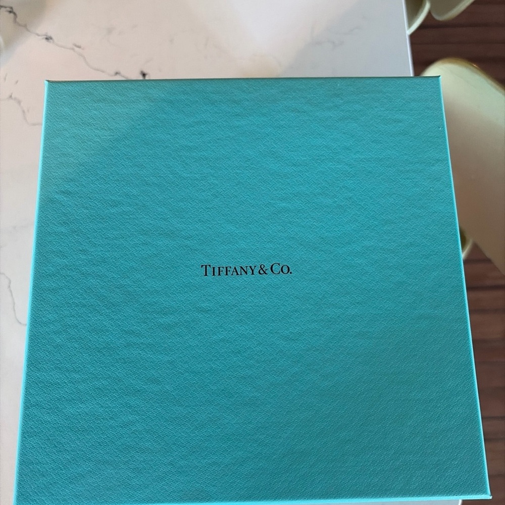 Tiffany & Co. Turquoise Presentation Box